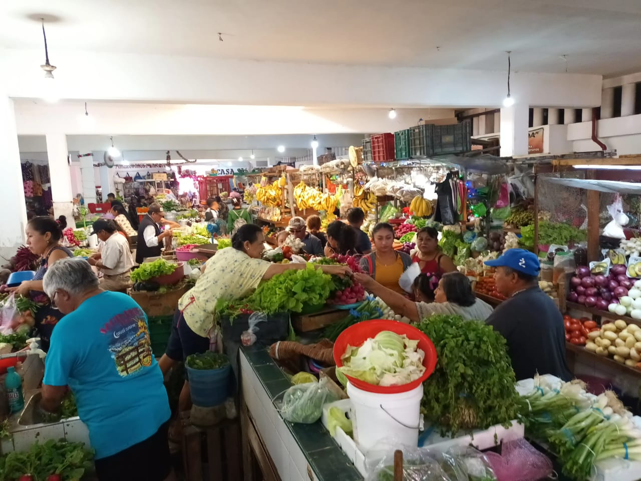 Dentro del mercado, se realizó un recorrido para cotizar el precio de algunos insumos