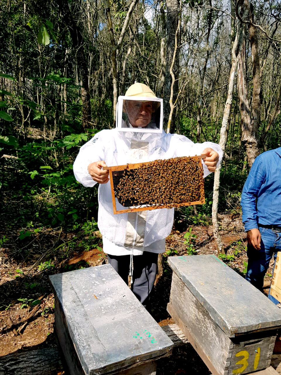 El intenso frío y las lluvias han secado el néctar y las enredaderas, afectando a las abejas El intenso frío y las lluvias han secado el néctar y las enredaderas, afectando a las abejas