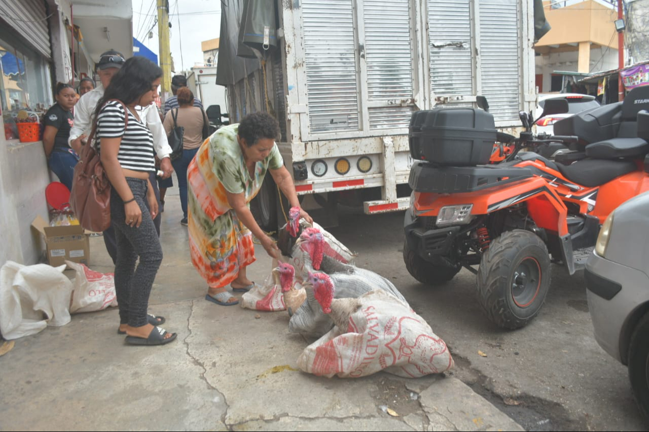 El costo de alimentar un pavo en crecimiento es de 380 pesos por un costal de 25 kilogramos El costo de alimentar un pavo en crecimiento es de 380 pesos por un costal de 25 kilogramos
