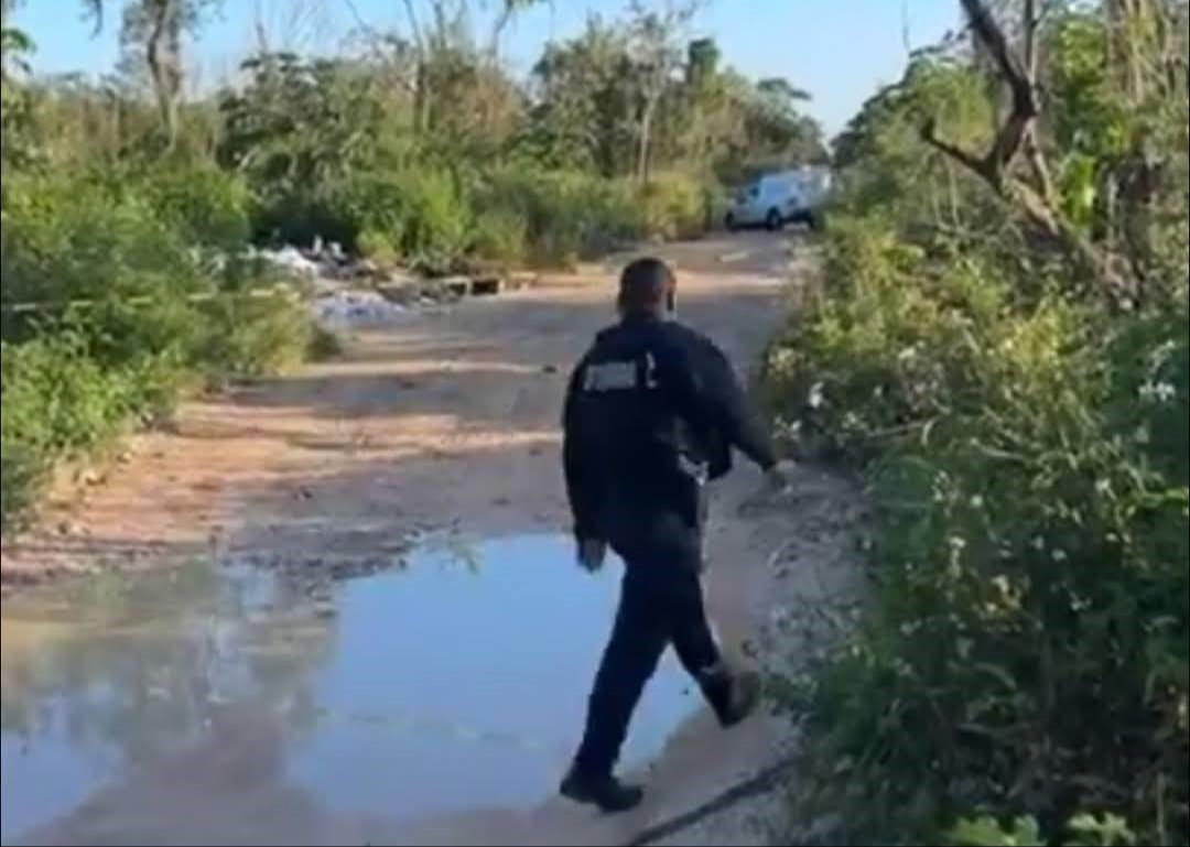 Encuentran tres cuerpos sin vida  en diferentes puntos de Playa del Carmen