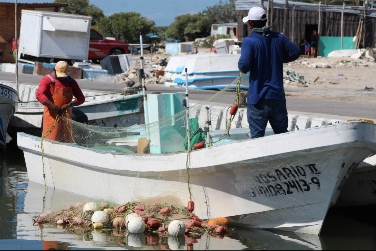 También se invertirán 66 millones 700 mil pesos con el fin de apoyar a los pescadores en tiempos de veda También se invertirán 66 millones 700 mil pesos con el fin de apoyar a los pescadores en tiempos de veda