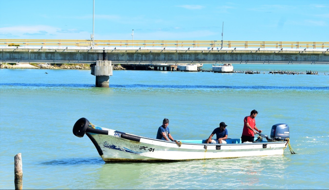 El sector pesquero busca la liberación de áreas de pesca ante la baja producción petrolera y pide un análisis de la situación actual de las plataformas El sector pesquero busca la liberación de áreas de pesca ante la baja producción petrolera y pide un análisis de la situación actual de las plataformas