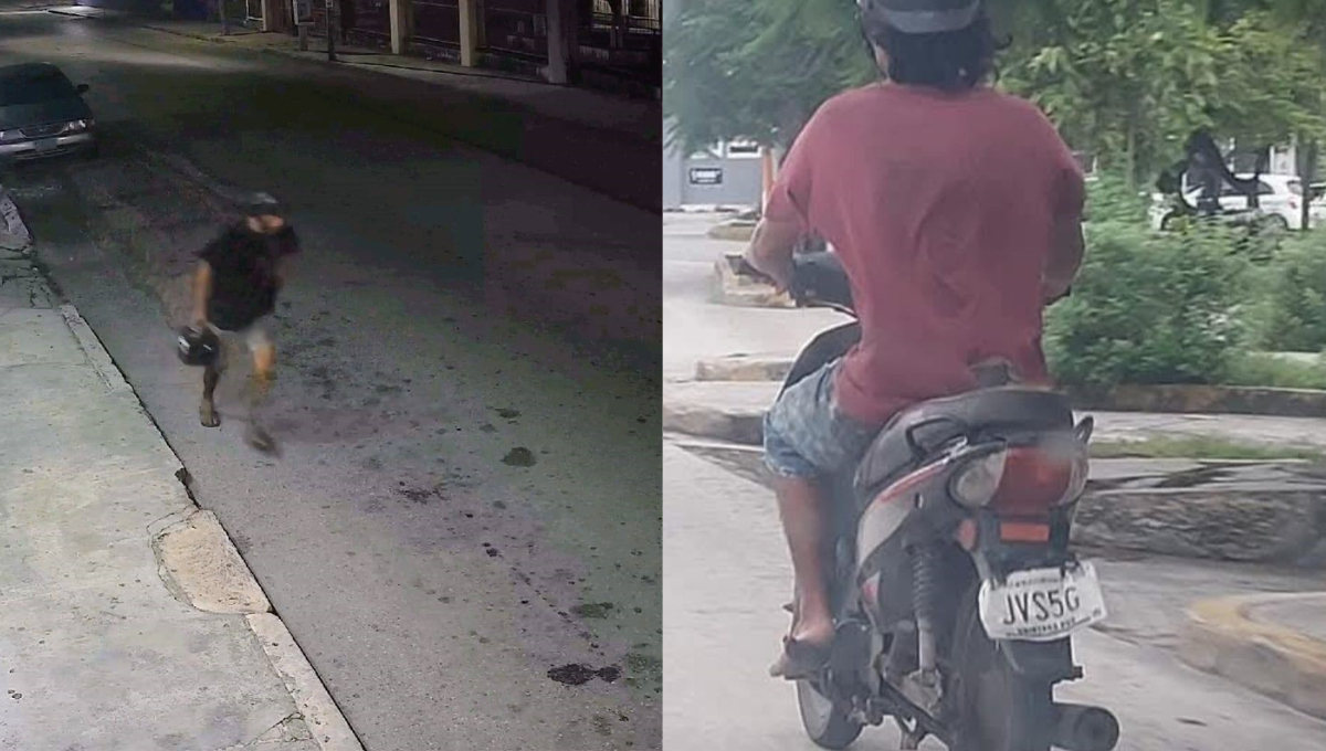Debido a las cámaras de seguridad, se ha identificado al sujeto Debido a las cámaras de seguridad, se ha identificado al sujeto