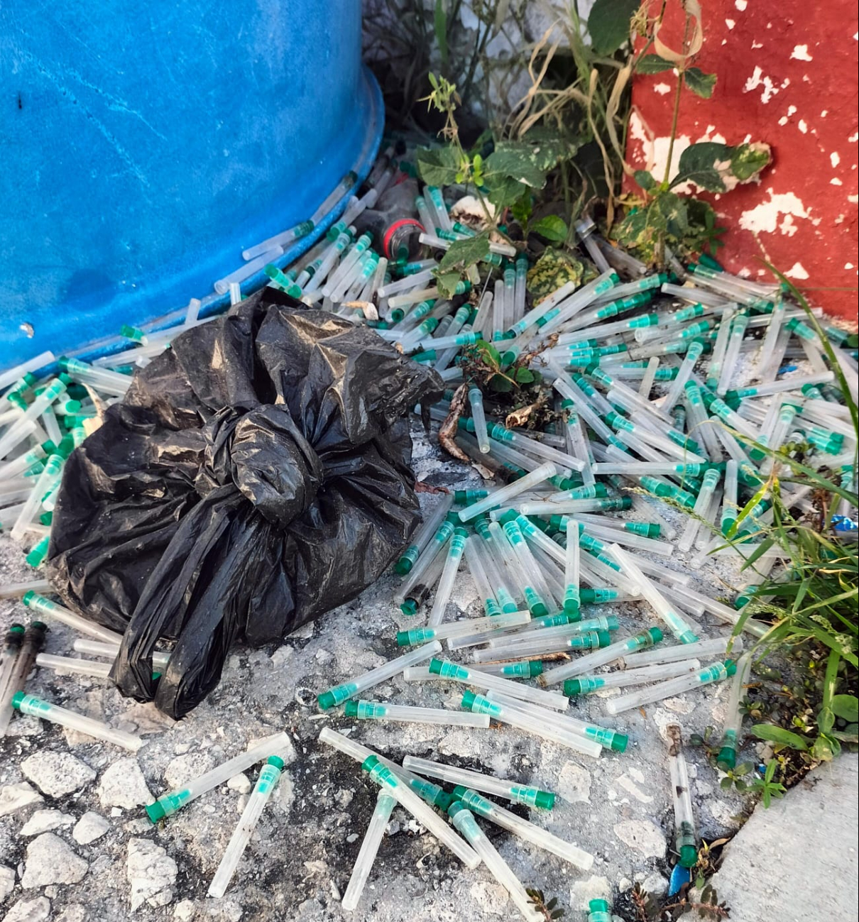 Vecinos denunciaron la aparición de desechos médicos, como jeringas con agujas, en la calle Pargo, lo que significa un peligro para la salud pública y el ambiente. Vecinos denunciaron la aparición de desechos médicos, como jeringas con agujas, en la calle Pargo, lo que significa un peligro para la salud pública y el ambiente.