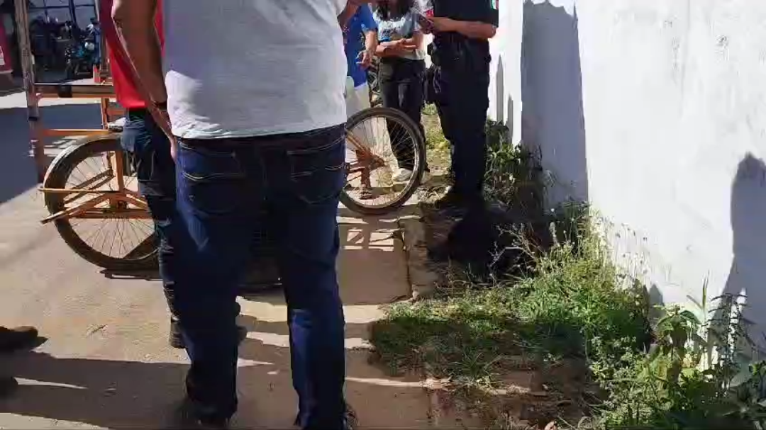 El equipo de bomberos del municipio arribaron con una transportadora para trasladar a la perrita El equipo de bomberos del municipio arribaron con una transportadora para trasladar a la perrita