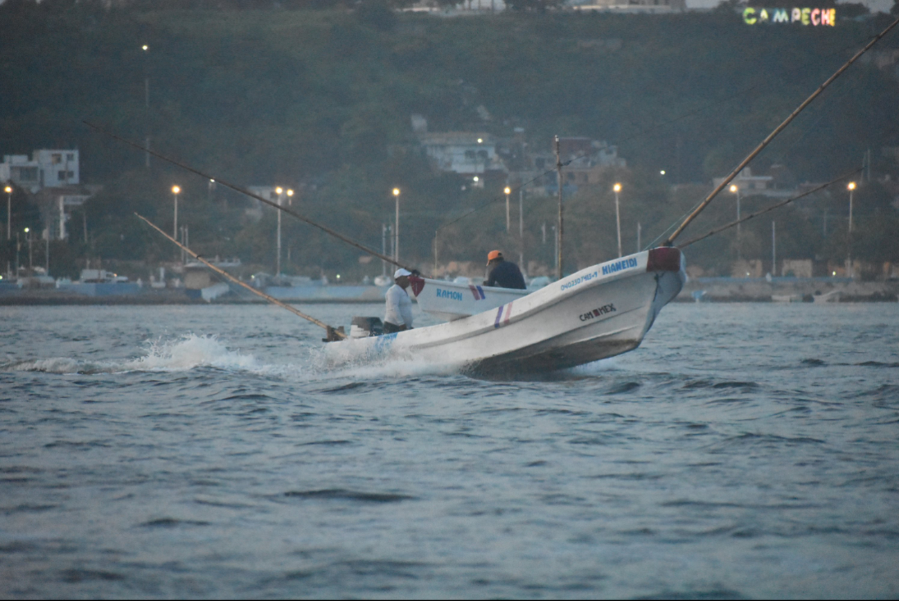 Esta temporada dejó en evidencia la alta dependencia del buceo y otras artes ilegales para alcanzar las cifras reportadas