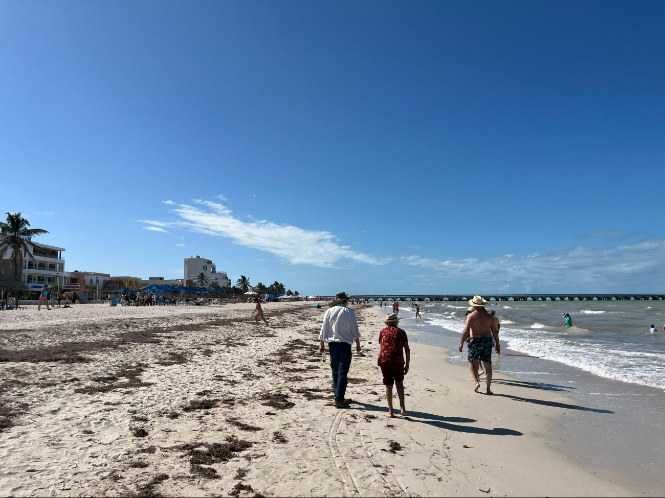 Prepara el ahorro: Playas caras en Yucatán para visitar este 2025 
