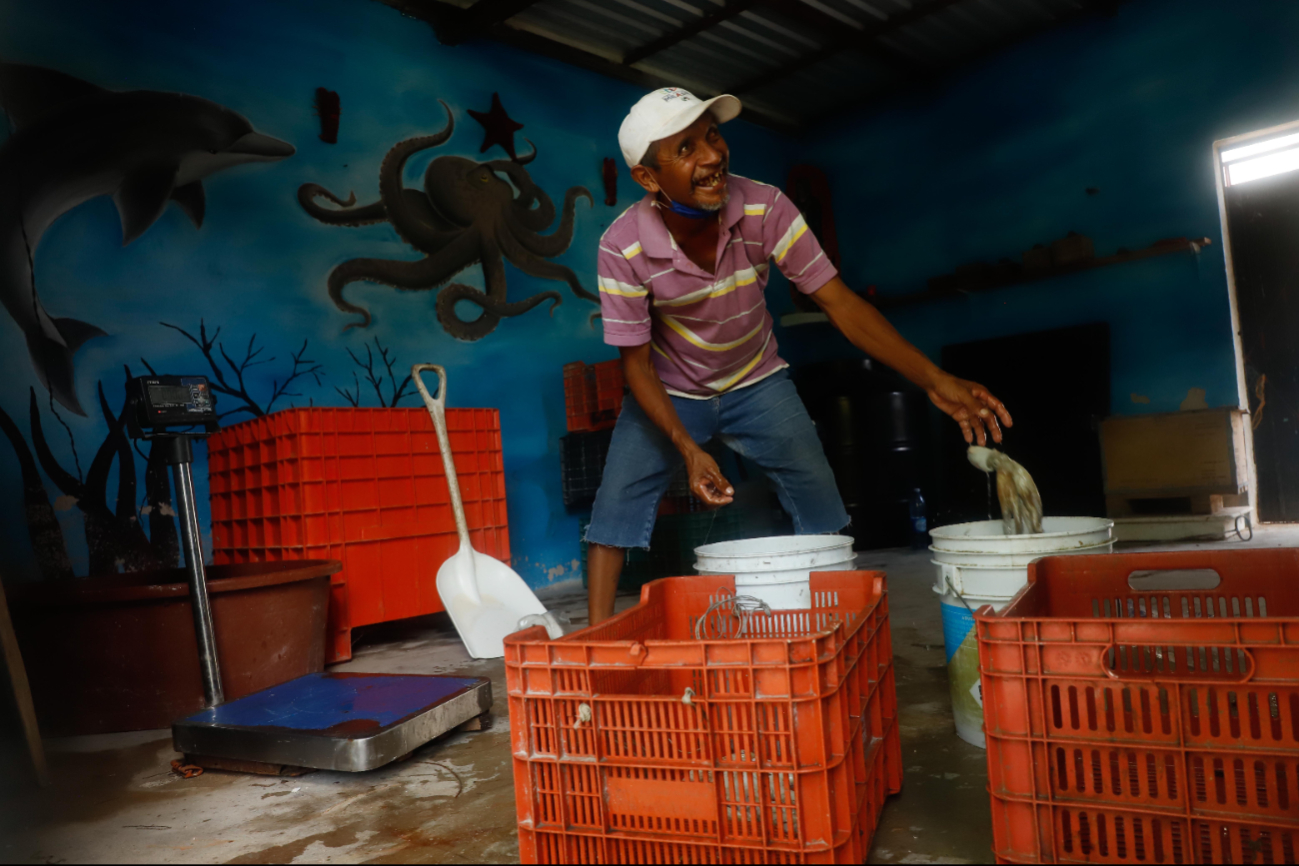 Pescadores denuncian pesca furtiva en costas de Dzliam de Bravo