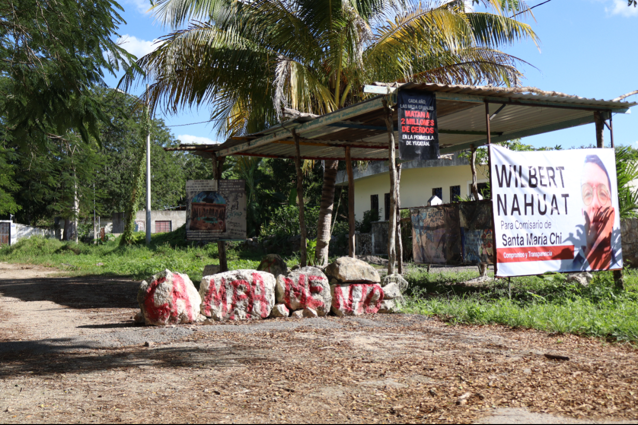 Representantes de la Organización acudirán a Santa María Chi, donde opera una granja porcícola