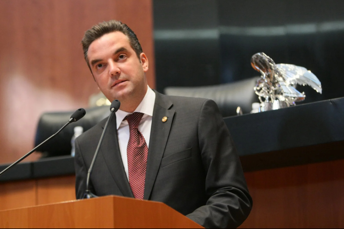 Se afilió al PAN en 2007, coordinó una campaña a gobernador en 2009, y fue senador de la república por Campeche de 2012 a 2018. Se afilió al PAN en 2007, coordinó una campaña a gobernador en 2009, y fue senador de la república por Campeche de 2012 a 2018.