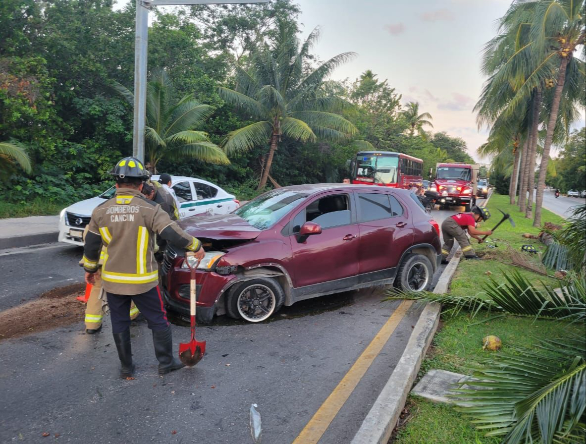Aparatoso accidente en Cancún: Conductor se impacta con palmeras en la Zona Hotelera