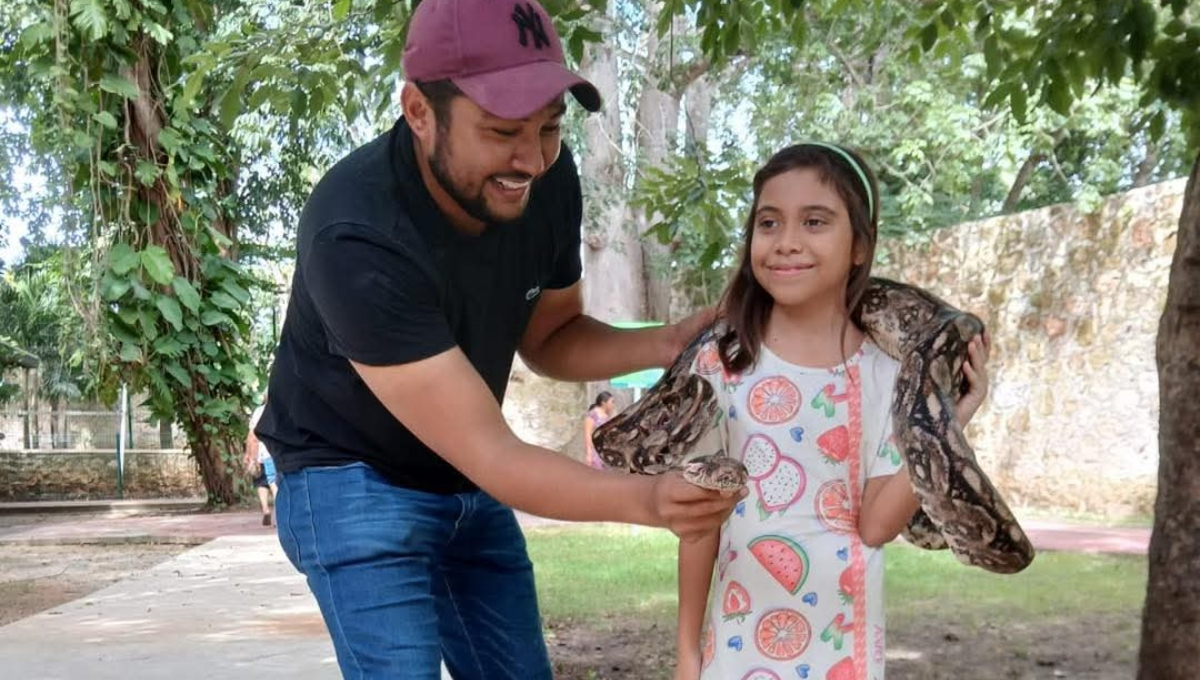 El parque zoológico La Reina, en Tizimín, tendrá nuevas atracciones en los próximos días, como una granja interactiva y una zona de contacto con reptiles