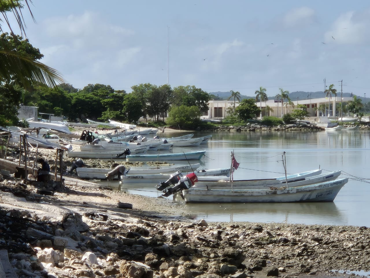 Los pescadores estaban trabajando en la "lisera" cuando fueron atacados Los pescadores estaban trabajando en la "lisera" cuando fueron atacados