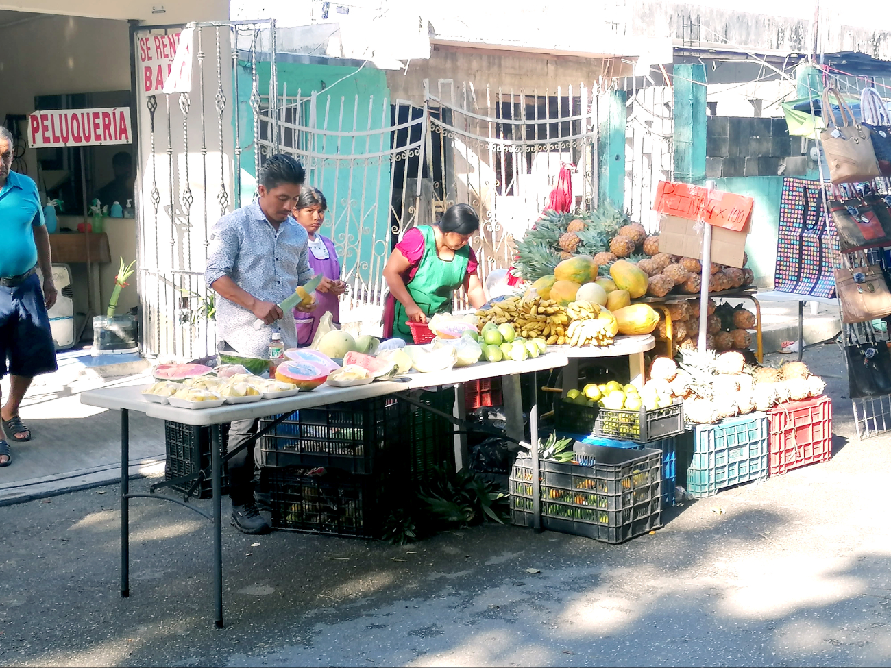 En riesgo las lenguas indígenas  en Quintana Roo;  menos del 10% habla maya  