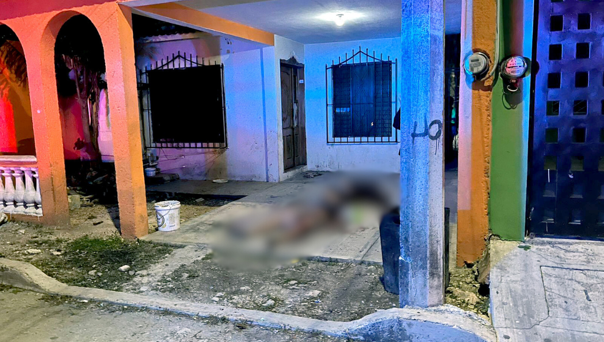 Se concentran en Benito Juárez, Solidaridad, Tulum y Chetumal Se concentran en Benito Juárez, Solidaridad, Tulum y Chetumal
