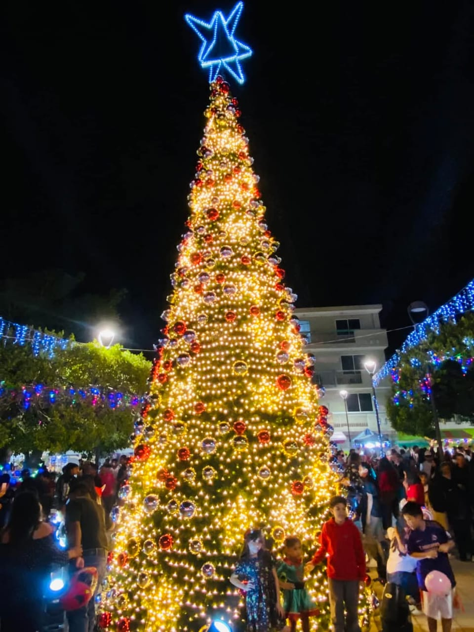 El desfile concluyó en el Parque Miguel Hidalgo y Costilla con el encendido del Árbol de N El desfile concluyó en el Parque Miguel Hidalgo y Costilla con el encendido del Árbol de N