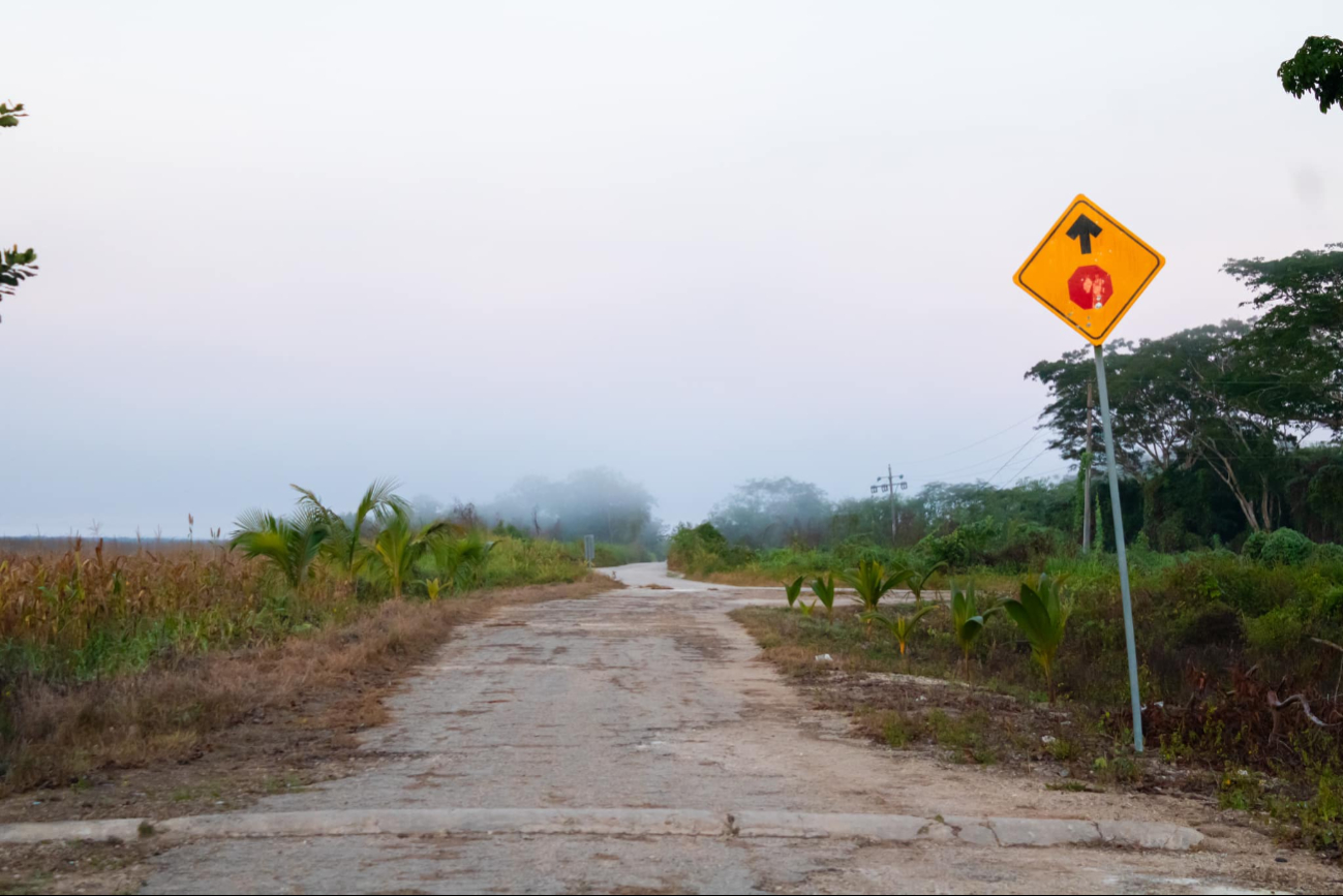 En Nohalal, comunidad ubicado en el municipo de Tekax, al sur del estado de Yucatán, las personas se didican prinicipalmente a la apicultura, al cultivo y a la ganadería En Nohalal, comunidad ubicado en el municipo de Tekax, al sur del estado de Yucatán, las personas se didican prinicipalmente a la apicultura, al cultivo y a la ganadería
