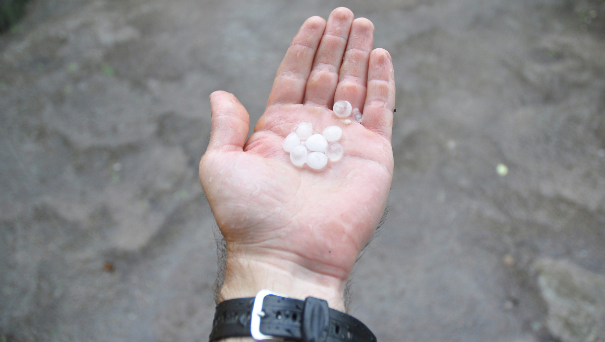 Clima en Campeche 10 de diciembre: Prevén lluvias y caída de granizo por Frente Frío 14