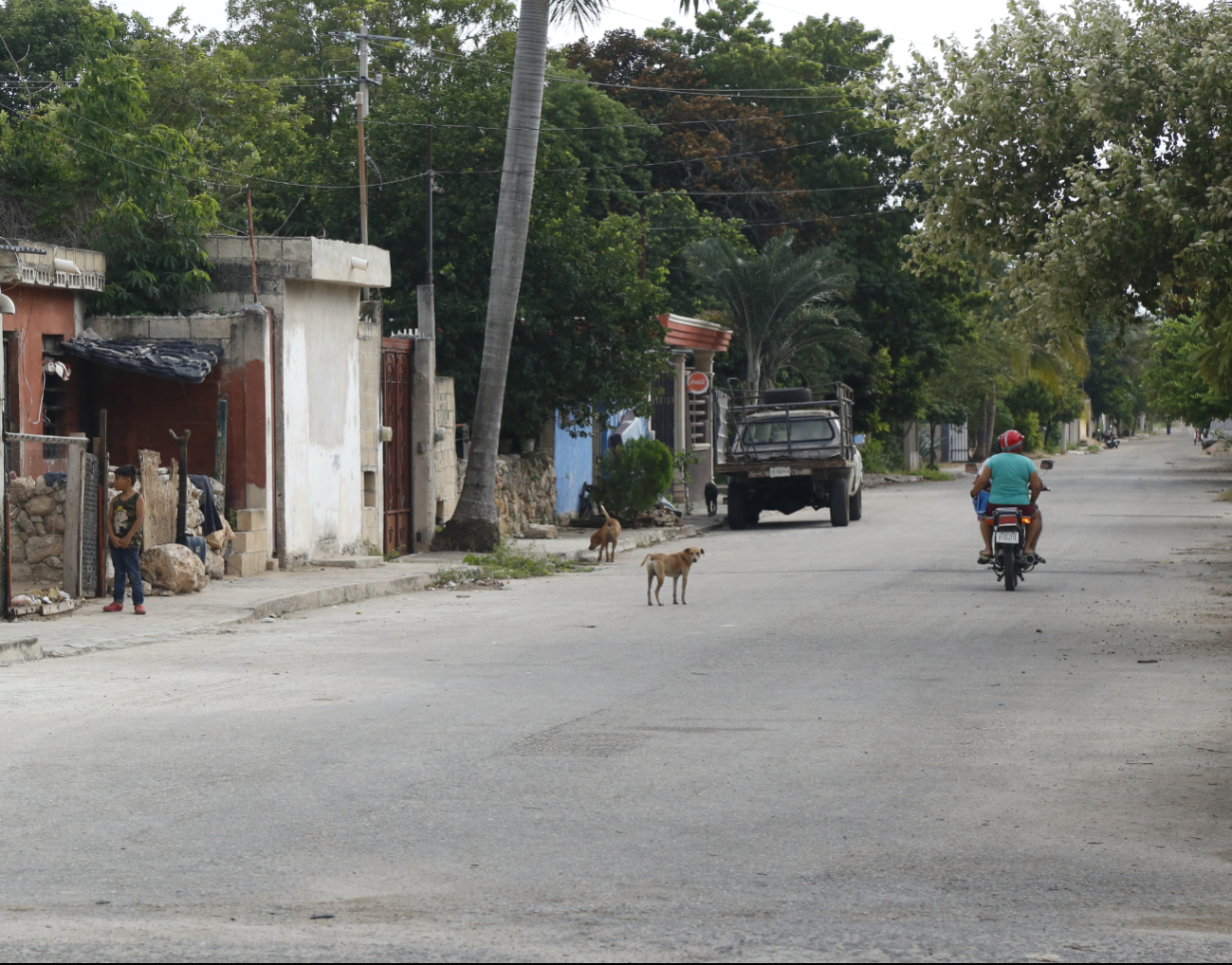 Un investigador de la UNAM declaró sobre la contaminación del suelo en Yucatán Un investigador de la UNAM declaró sobre la contaminación del suelo en Yucatán