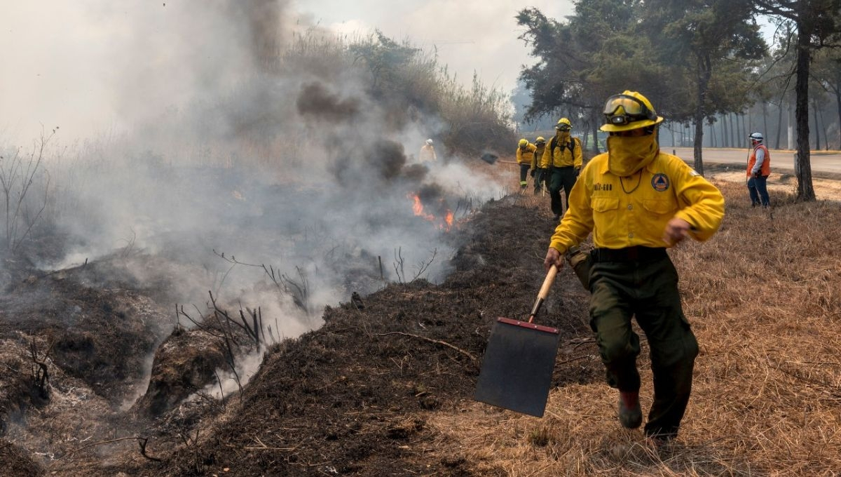 La Conafor dispone de 423 brigadas, que suman 4 mil 193 combatientes especializados en la lucha contra incendios