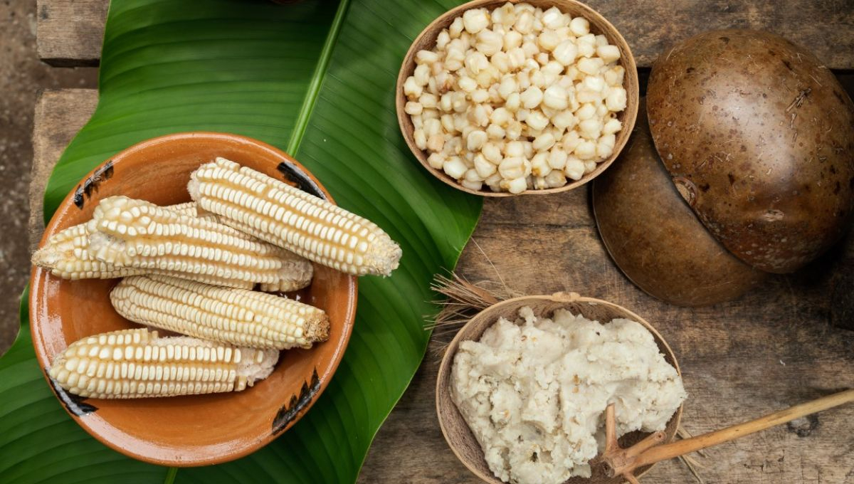Esta es la receta del pozol, bebida tradicional del sureste de México Esta es la receta del pozol, bebida tradicional del sureste de México