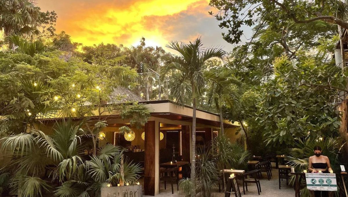 Los 5 mejores restaurantes en Tulum según Trip Advisor