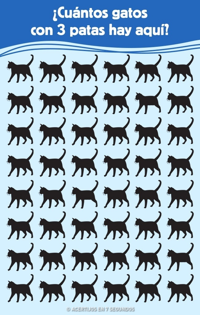 Localiza a los gatos con 3 patas entre todas las posibilidades Localiza a los gatos con 3 patas entre todas las posibilidades