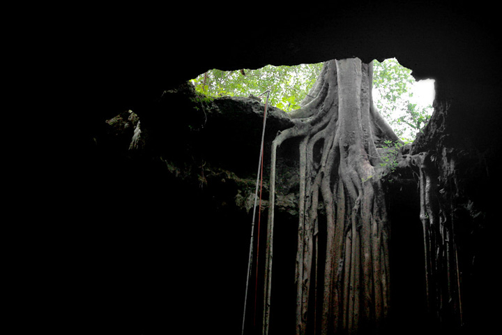 Cenotes del Estado de Yucatán Cenotes del Estado de Yucatán