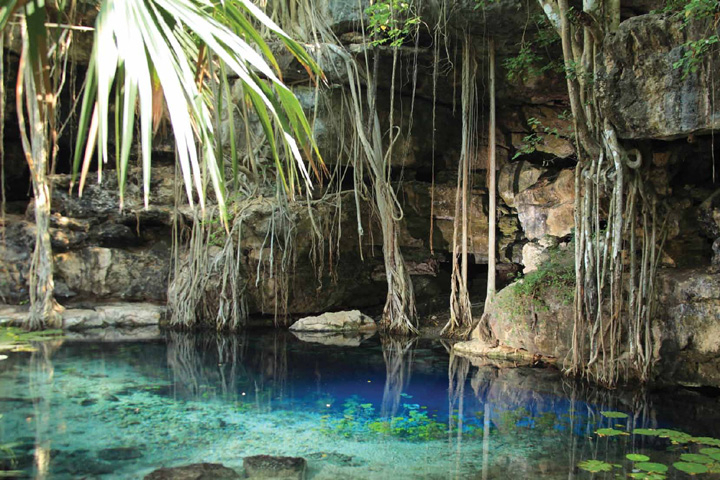 Cenotes del Estado de Yucatán Cenotes del Estado de Yucatán