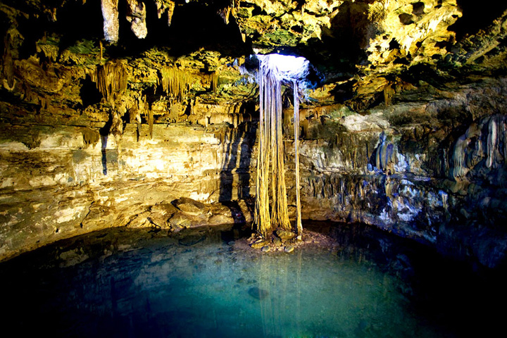 Se emitieron 14 opiniones técnicas y se realizaron 12 inspecciones específicas en cenotes Se emitieron 14 opiniones técnicas y se realizaron 12 inspecciones específicas en cenotes