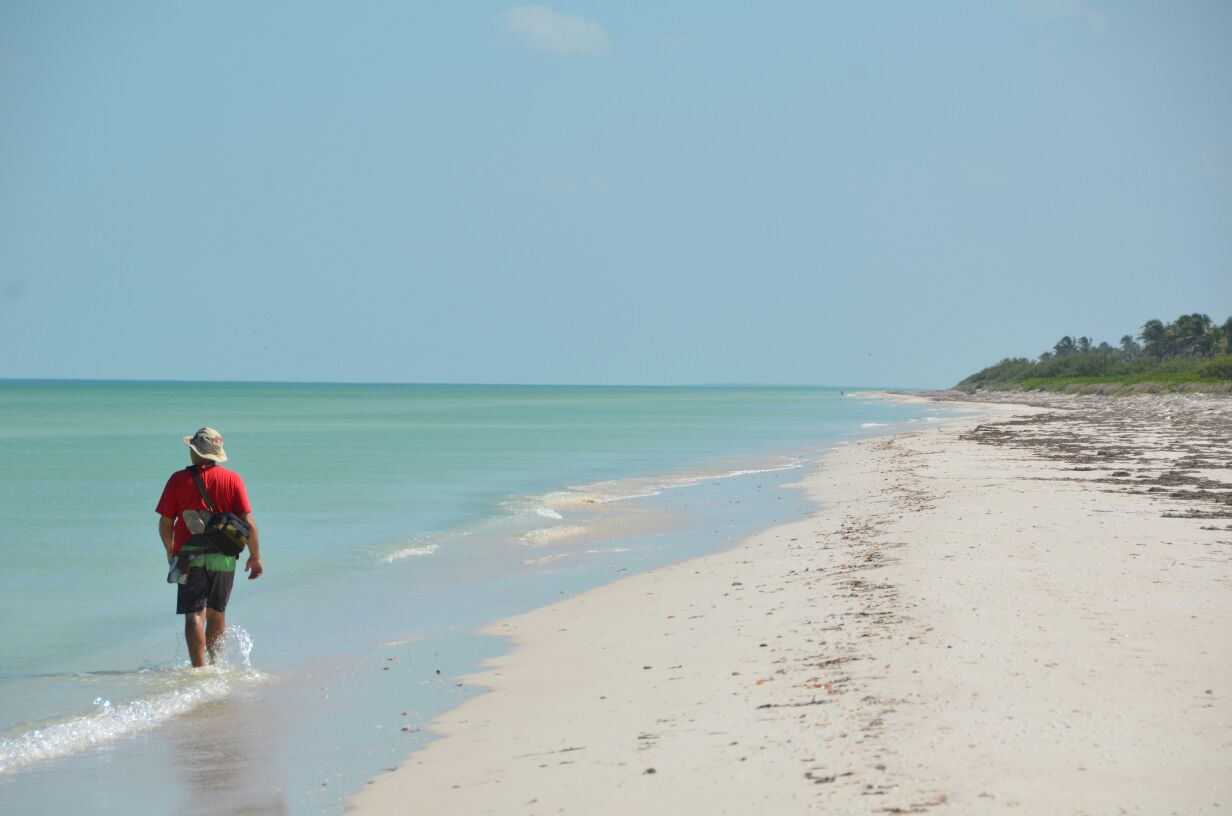 Entre los atractivos de El Cuyo se encuentran sus playas, las cuales tienen aguas cristalinas y color turquesa Entre los atractivos de El Cuyo se encuentran sus playas, las cuales tienen aguas cristalinas y color turquesa