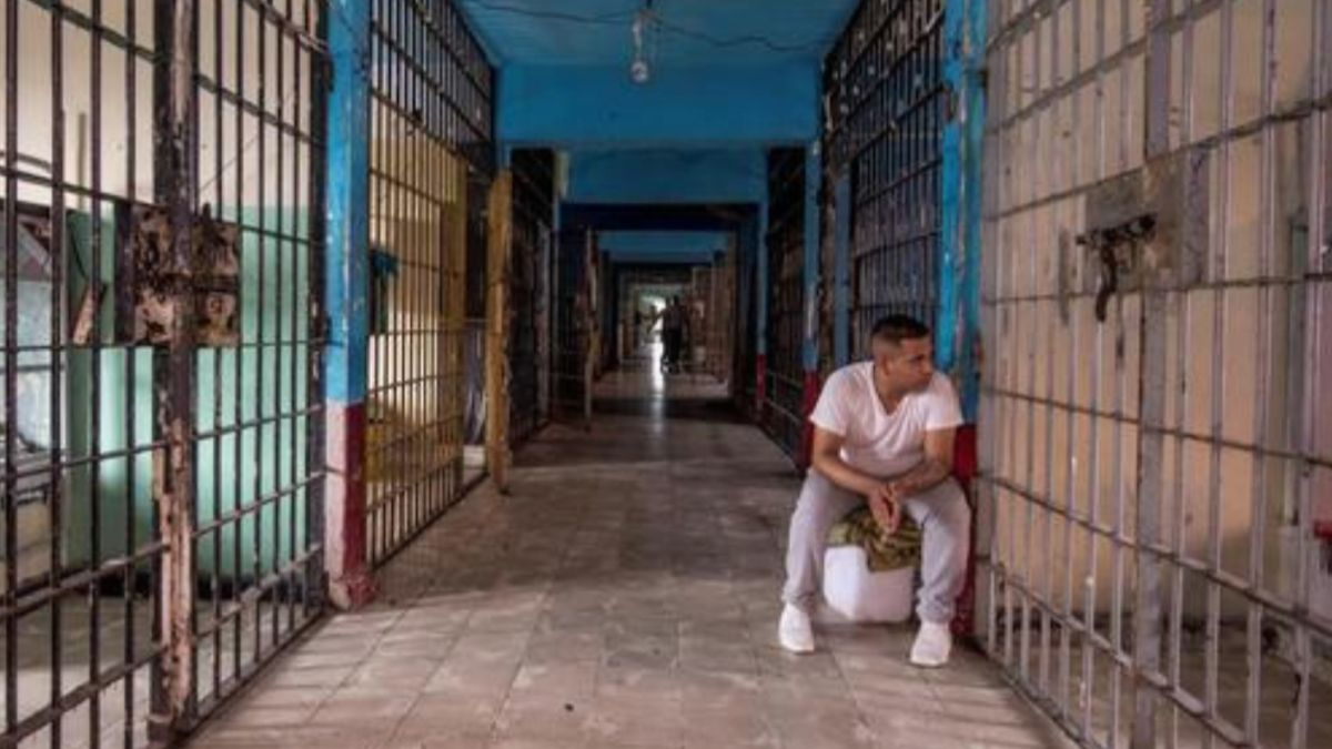El papel de las cárceles en México El papel de las cárceles en México