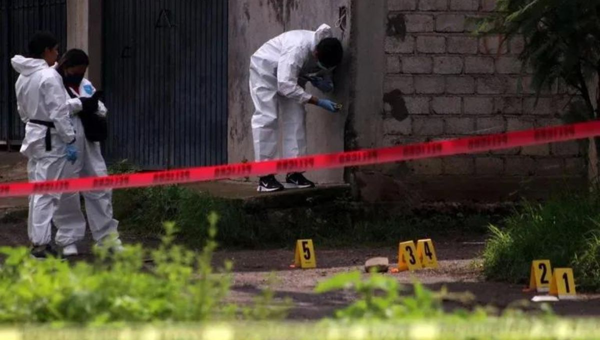 La inseguridad y violencia en México La inseguridad y violencia en México