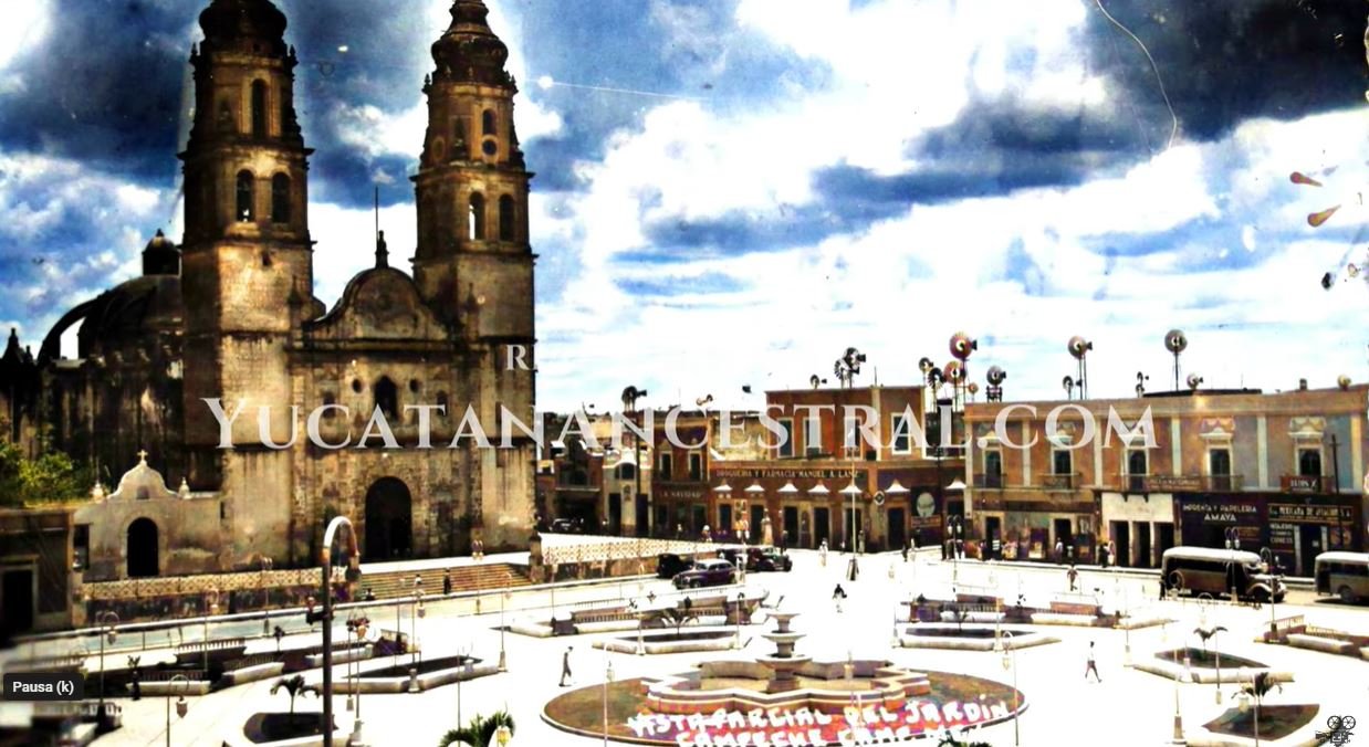 Vista parcial del Jardín Vista parcial del Jardín