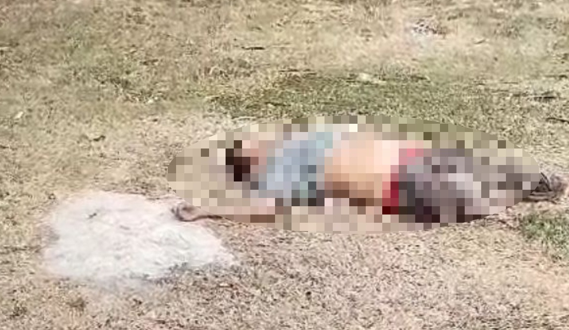 El hombre murió de forma instantánea tras ser atropellado El hombre murió de forma instantánea tras ser atropellado
