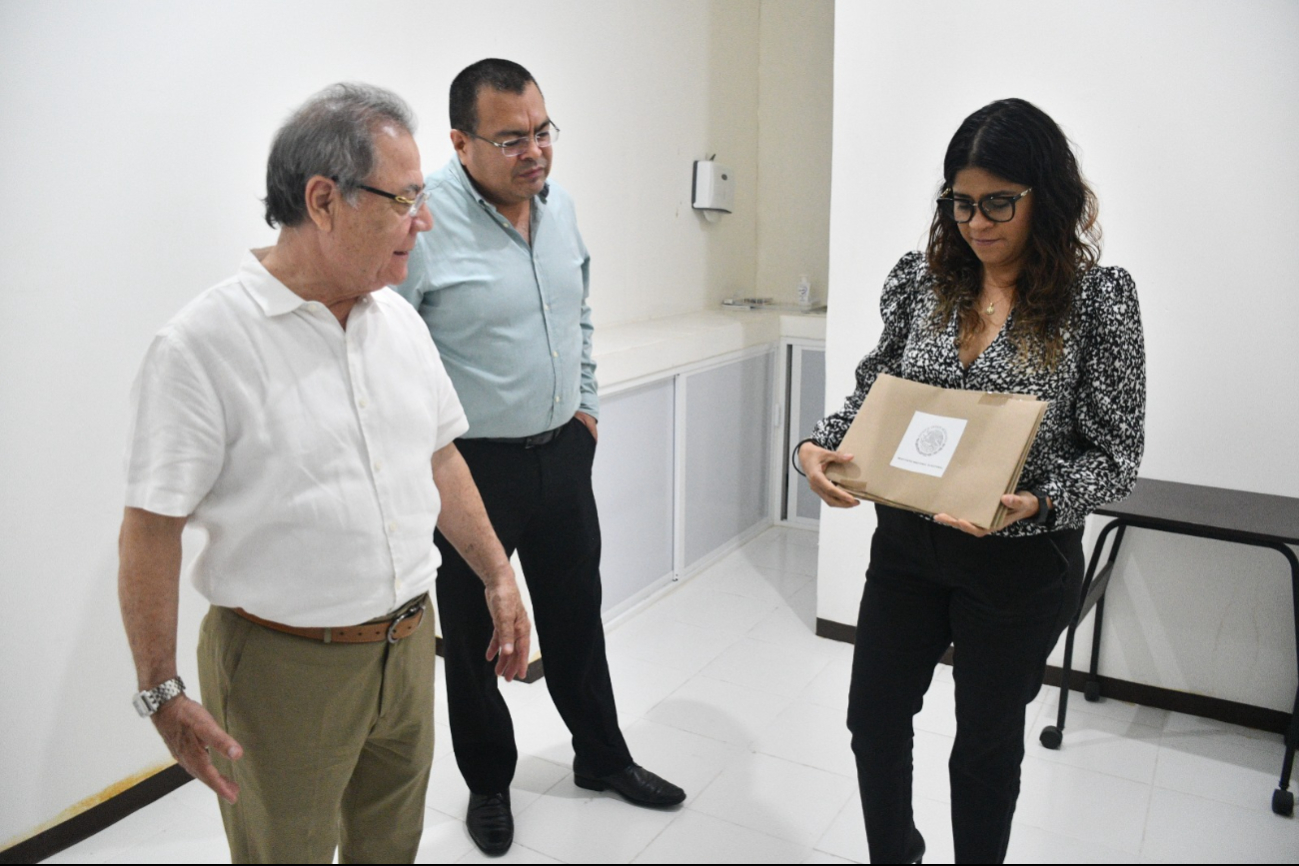 El INE recibió 130 solicitudes, de las cuales ya aprobó a 22 personas El INE recibió 130 solicitudes, de las cuales ya aprobó a 22 personas