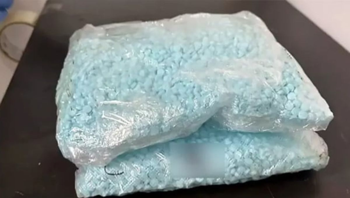 Elementos de la FGR incautaron más de 320 mil pastillas de fentanilo en una empresa de paquetería en Guadalajara