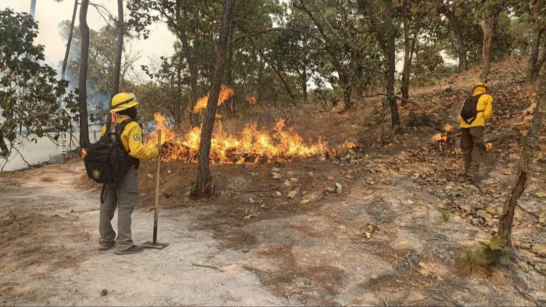 Suman más de dos mil hectáreas consumidas por  incendios forestales en Hopelchén, Campeche