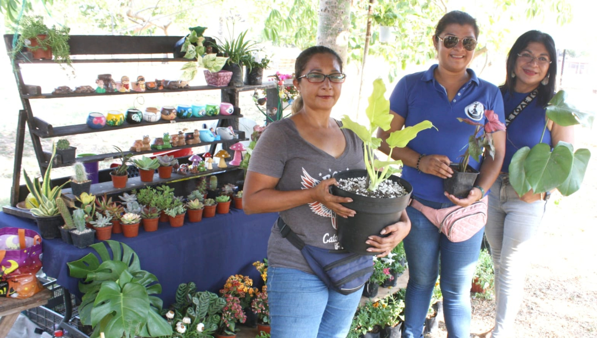 Festival “Kiin Ya’ax” en Mérida reúne a más de 500 personas 