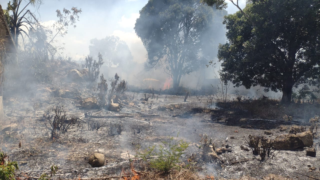 Las altas temperaturas han hecho que los incendios irrumpan la tranquilidad de los habitantes de la zona maya de Quintana Roo Las altas temperaturas han hecho que los incendios irrumpan la tranquilidad de los habitantes de la zona maya de Quintana Roo
