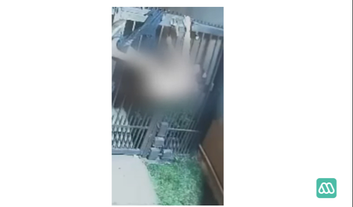Asaltante se queda sin pantalones al intentar robar casa en Chile / Web Asaltante se queda sin pantalones al intentar robar casa en Chile / Web