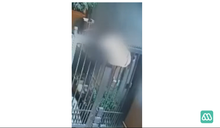 Asaltante se queda sin pantalones en Chile / Webcam Asaltante se queda sin pantalones en Chile / Webcam