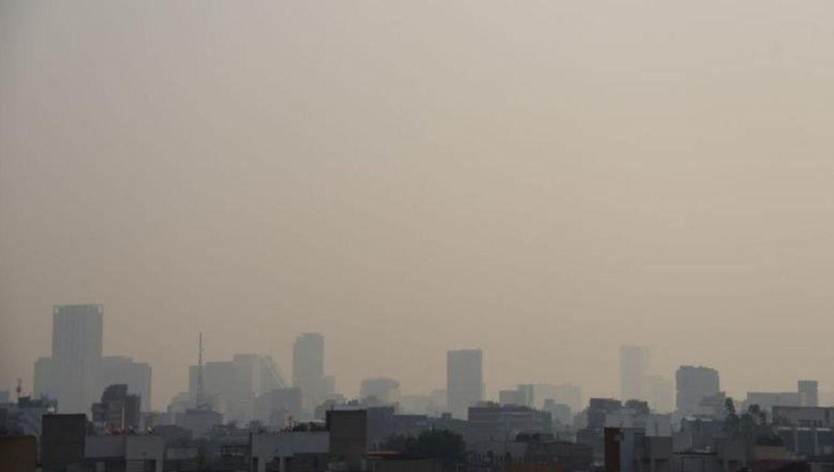 El Doble Hoy No Circula no tendrá cambios en el Valle de México