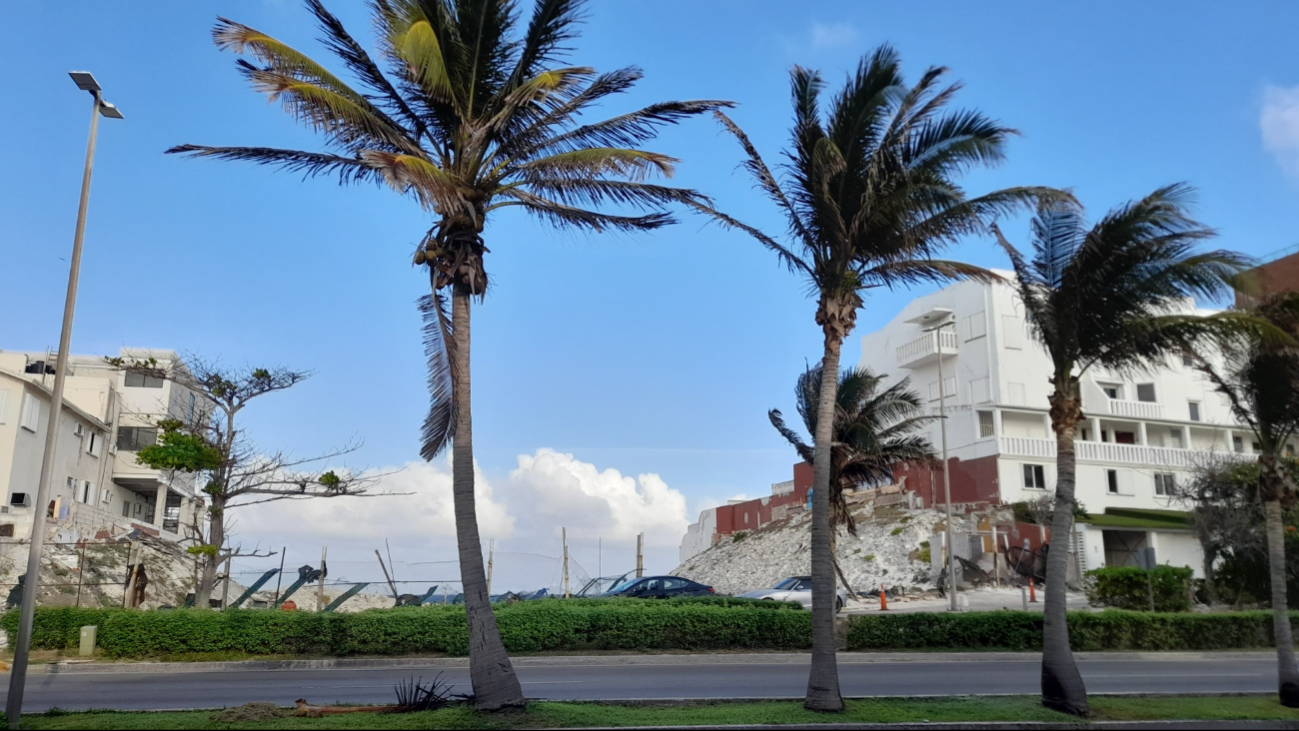 Entre las propuestas se encuentra un hotel de 15 niveles, cerca de los manglares de Nichupté Entre las propuestas se encuentra un hotel de 15 niveles, cerca de los manglares de Nichupté