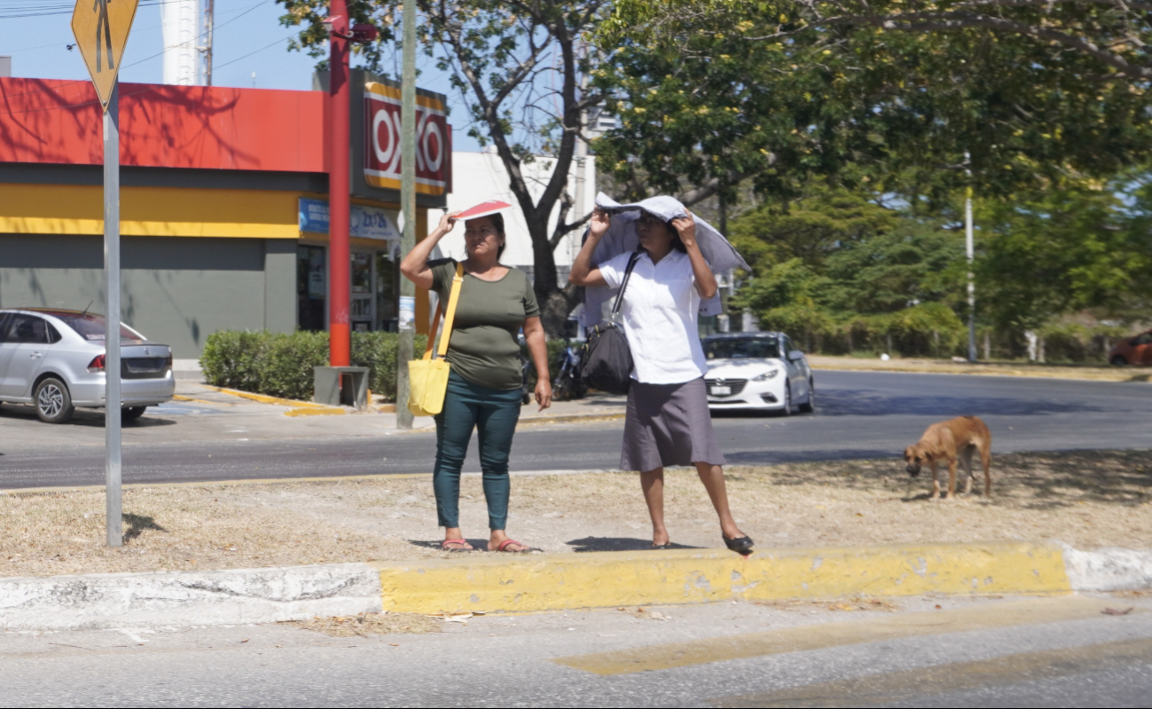 El SMN recomienda evitar el sol al mediodía, hidratarse y no hacer quemas al aire libre. El SMN recomienda evitar el sol al mediodía, hidratarse y no hacer quemas al aire libre.
