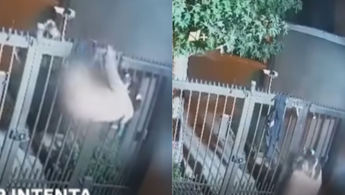 Mujer se hace viral por quedarse sin pantalones al intentar robar una casa