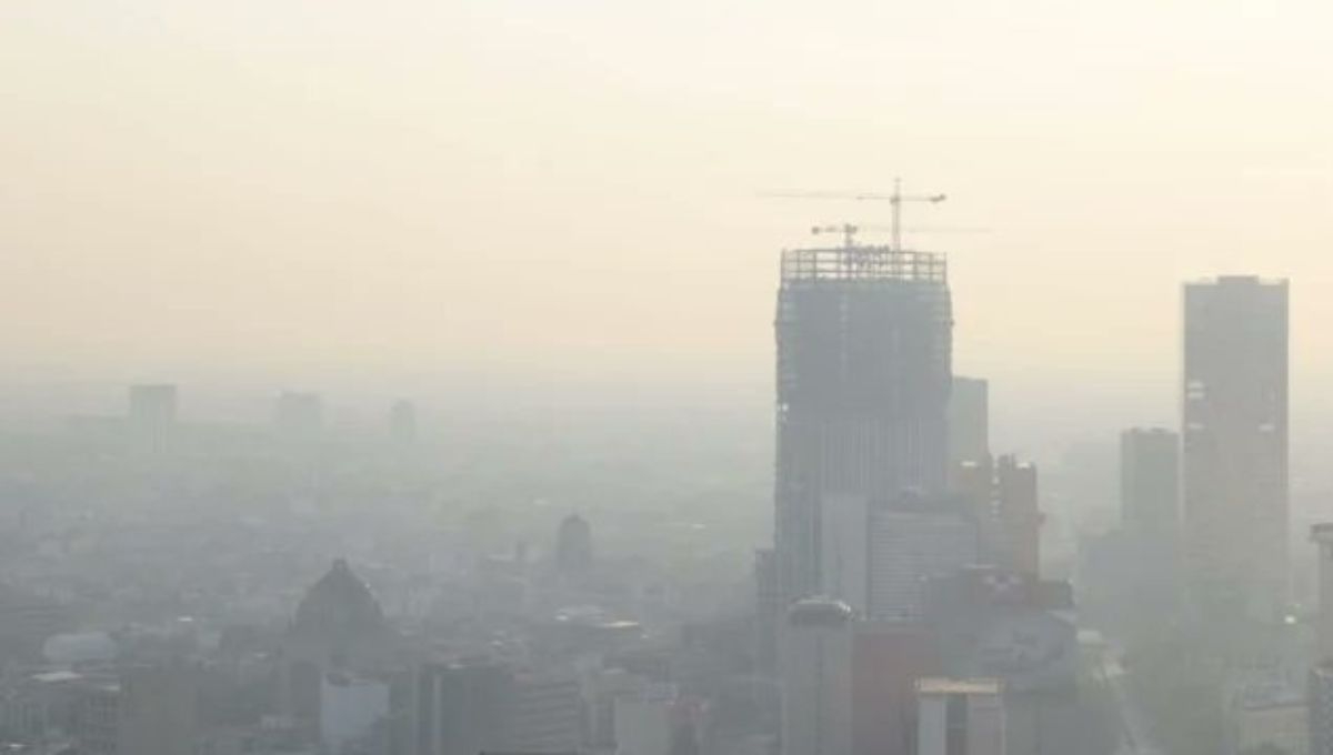 CDMX y Edomex mantendrán las medidas de la contingencia ambiental por ozono CDMX y Edomex mantendrán las medidas de la contingencia ambiental por ozono