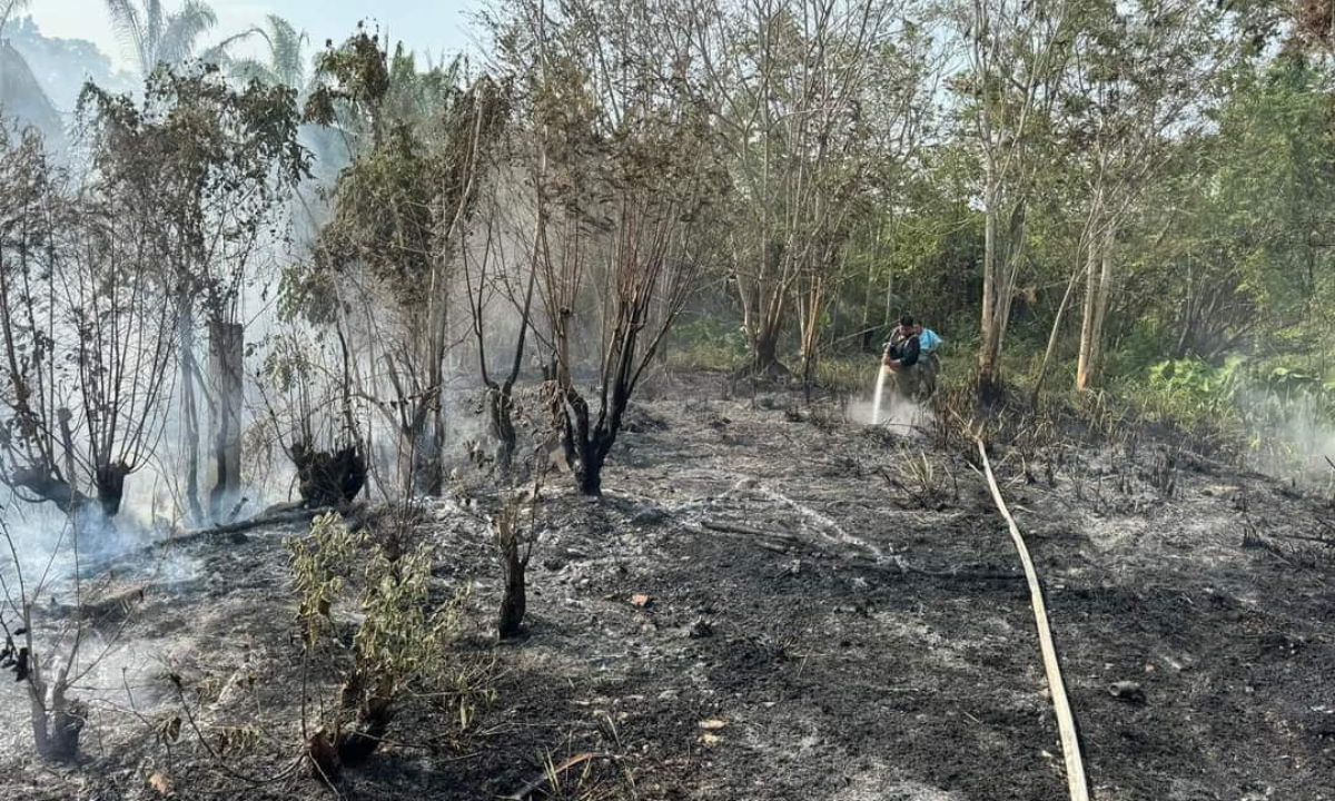 Quema de basura genera incendio de maleza en la Ignacio Zaragoza de Escárcega