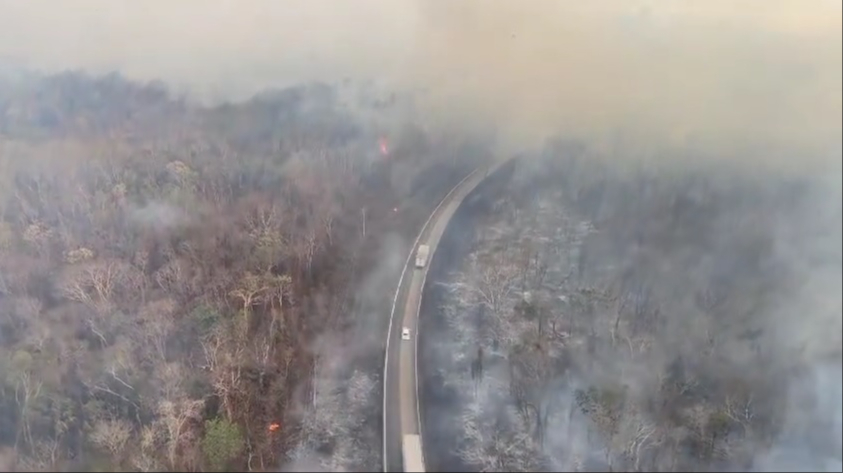 Selva de Quintana Roo, amenazada por los incendios 
