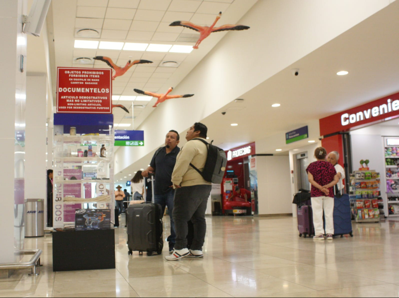 La movilidad de pasajeros se mantiene mínima en el aeropuerto de Mérida La movilidad de pasajeros se mantiene mínima en el aeropuerto de Mérida